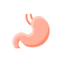 Free Digestion Stomach Getroenterology Icon