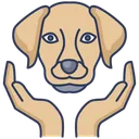 Free Dog Insurance  Icon