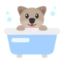 Free Dog shower  Icon