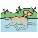 Free Dog Swimming  Icon