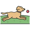 Free Dog Training  Icon