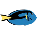 Free Dory Blauer Doktorfisch Meerestier Tier Symbol