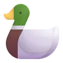 Free Color Icon