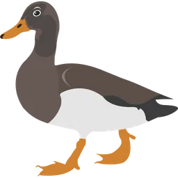 Free Duck  Icon