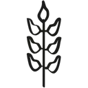 Free Durum Wheat Ear Of Wheat Wheat Icon