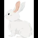 Free Dwart Hotot Rabbit  Icon