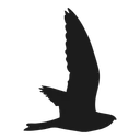 Free Eagle Bird Animal Icon