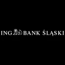 Free Ing Banco Slaski Ícone