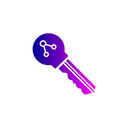 Free Encryption Key  Icon