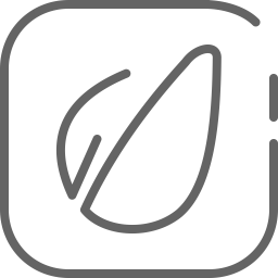 Free Envato Logo Icône