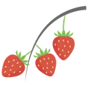 Free Erdbeerpflanze Bundel Erdbeeren Obst Symbol