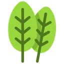 Free Espinaca  Icon