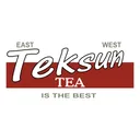 Free Teksun Te Logotipo Icon