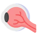 Free Eye Eyeball Eyesight Icon