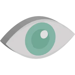 Free Eye  Icon