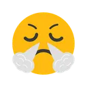 Free Face With Steam From Nose Emotion Emoticon Icon