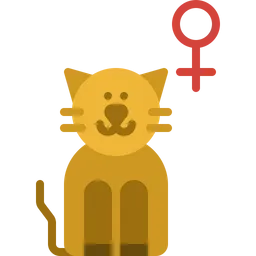 Free Female cat  Icon