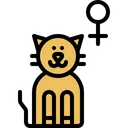 Free Female Pussycat Domestic Icon