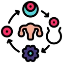 Free Fertility cycle  Icon