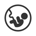 Free Fetus Baby Medical Icon
