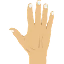 Free Finger Fingernail Body Icon