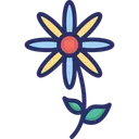 Free Fioritura Margherita Margherita Fiore Icon