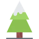 Free Fir Tree  Icon