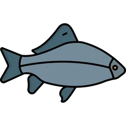 Free Fish  Icon