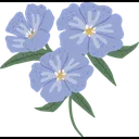 Free Flax Herbal Herb Icon