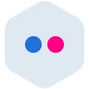 Free Flickr Photo Photography Icon