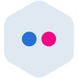 Free Flickr Logo Icono