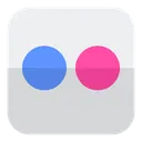 Free Flickr  Icon