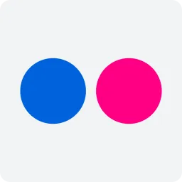 Free Flickr Logo Icon