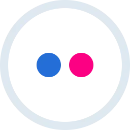 Free Flickr Logo Icon