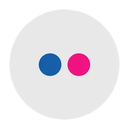 Free Flickr Logo Icon