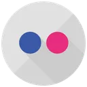 Free Flickr  Icon