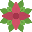Free Flor De Pascua Botanica Flor Icono