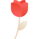 Free Flor Ramo De Flores Romance Icono