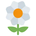 Free Flor Daizy Flor Icono