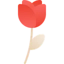 Free Flower Flower Bouquet Romance Icon