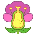 Free Flower Anatomy  Icon