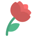 Free Flower  アイコン