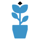 Free Flower pot  Icon