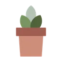 Free Flower pot  Icon