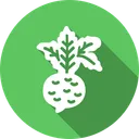 Free Food Kitchen Vegetable Icon