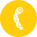 Free Food Kitchen Nonveg Icon