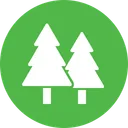 Free Foret Arbre Pin Icône