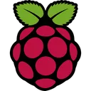 Free Raspberrypi Logotipo De Tecnologia Logotipo De Midia Social Ícone