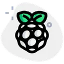 Free Raspberrypi Logotipo De Tecnologia Logotipo De Midia Social Ícone