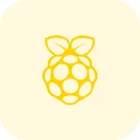 Free Raspberrypi Logotipo De Tecnologia Logotipo De Midia Social Ícone